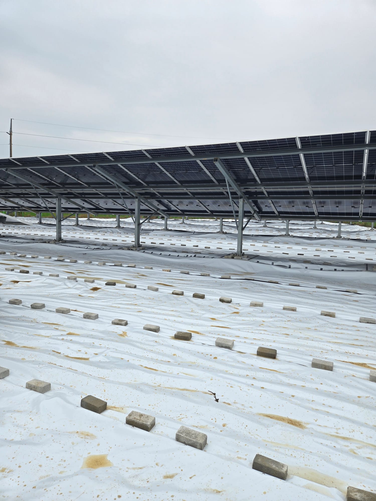 전북 부안군 300kW 반사매트 시공 사진 3