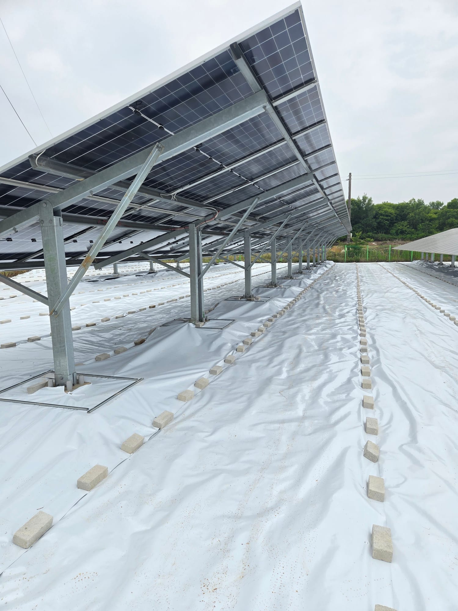전북 부안군 300kW 반사매트 시공 사진 6