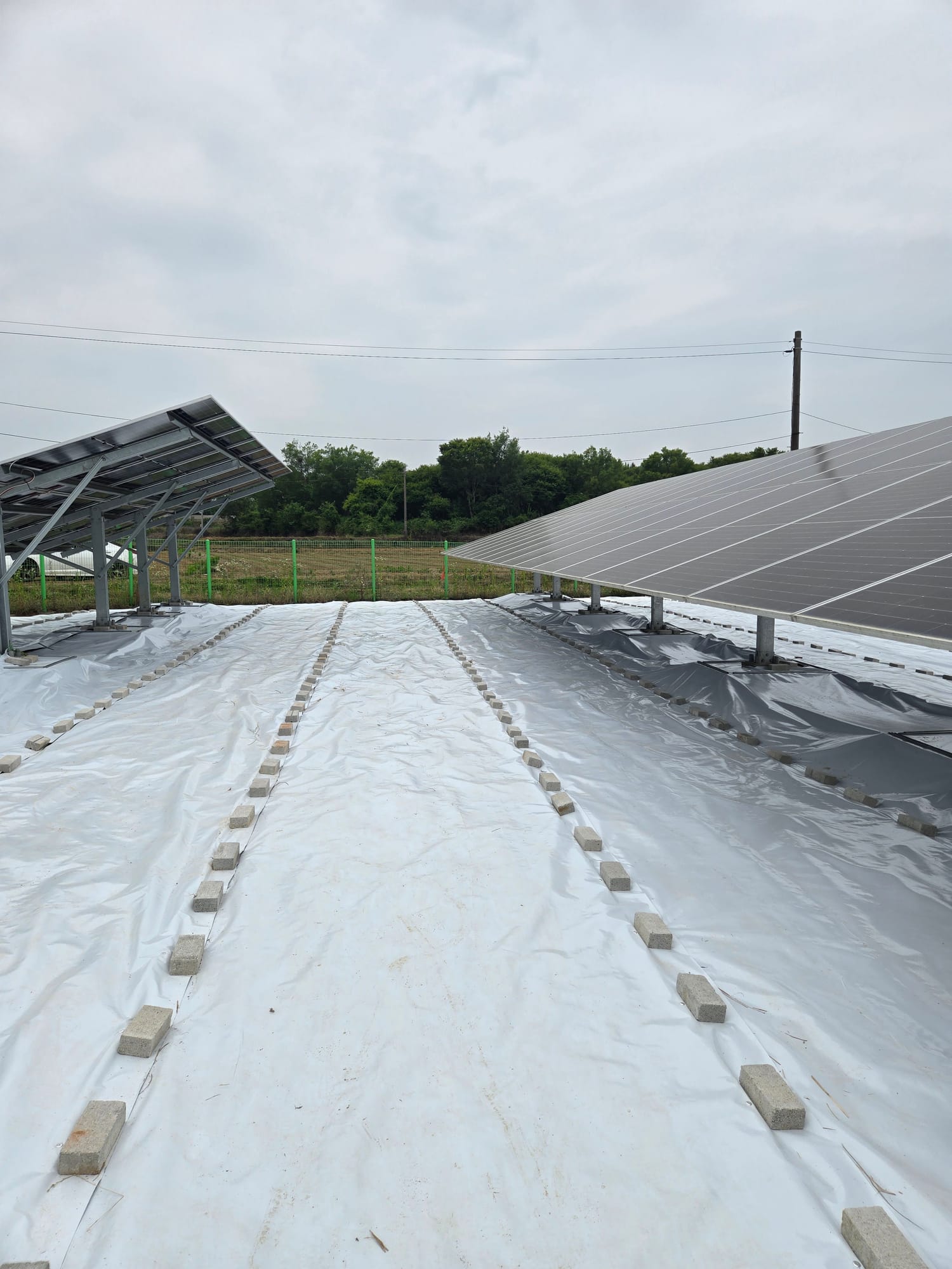전북 부안군 300kW 반사매트 시공 사진 9