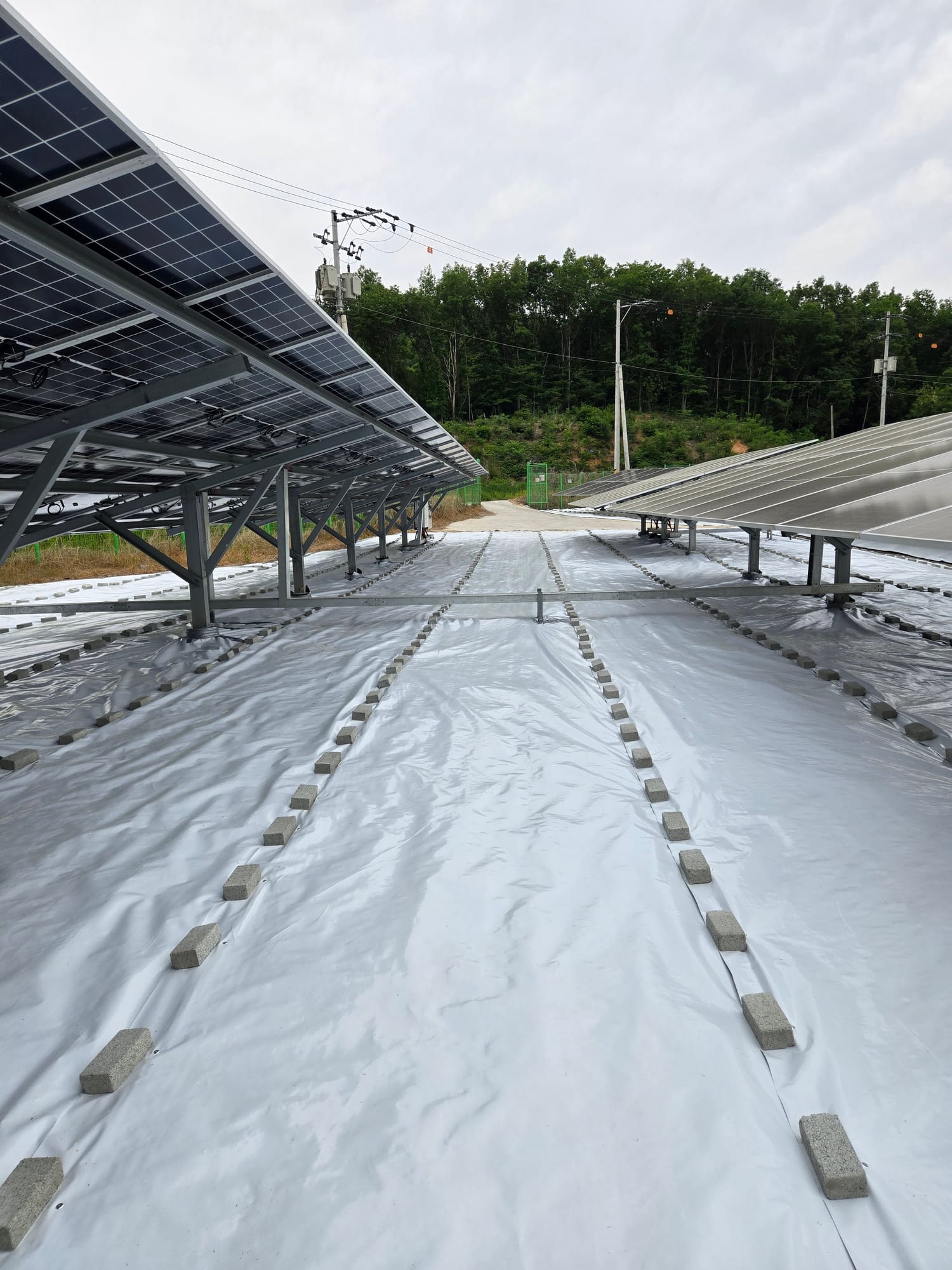 충북 음성군 1MW 태양광 반사매트 시공 현장